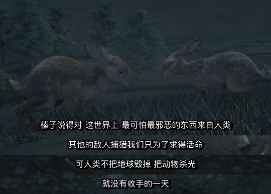 动漫剧《兔子共和国  Watership Down》（2018爱尔兰 / 英国 / 美国）--高清4K/1080P迅雷BT资源下载