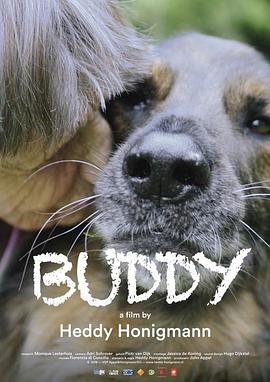 纪录片《良朋狗友  Buddy》（2018荷兰 Netherlands）--高清4K/1080P迅雷BT资源下载