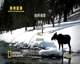 纪录片《美洲伟大的动物  America's Greatest Animals》（2012美国）--高清4K/1080P迅雷BT资源下载