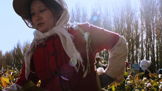 电视剧《花开时节》（2019中国大陆）--高清4K/1080P迅雷BT资源下载