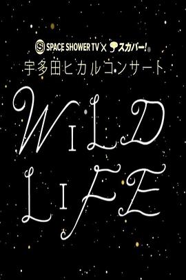 电视剧《宇多田光 2010暂别歌坛演唱会  Hikaru Utada WILD LIFE 2010》（2010日本）--高清4K/1080P迅雷BT资源下载