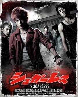 电视剧《无糖  シュガーレス》（2012日本）--高清4K/1080P迅雷BT资源下载