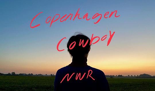 电视剧《哥本哈根牛仔  Copenhagen Cowboy》（2022丹麦）--高清4K/1080P迅雷BT资源下载