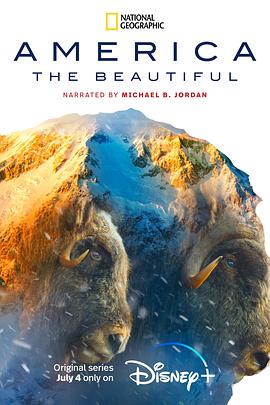 电视剧《America the Beautiful》（2022美国）--高清4K/1080P迅雷BT资源下载