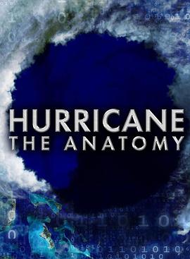 电视剧《Hurricane, the Anatomy Season 1  Hurricane, the Anatomy》（2014法国）--高清4K/1080P迅雷BT资源下载