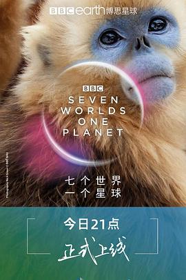 电视剧《七个世界，一个星球  Seven Worlds, One Planet》（2019英国）--高清4K/1080P迅雷BT资源下载