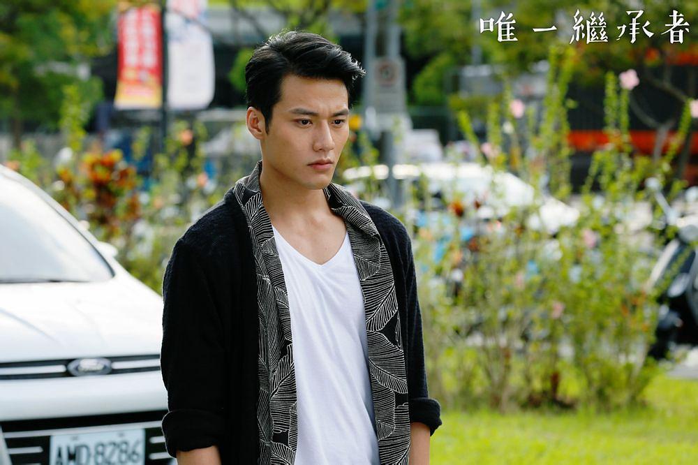电视剧《唯一继承者  唯一繼承者》（2015中国台湾）--高清4K/1080P迅雷BT资源下载