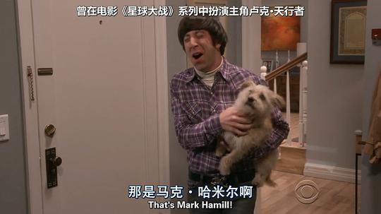 电视剧《生活大爆炸 第十一季  The Big Bang Theory》（2017美国）--高清4K/1080P迅雷BT资源下载