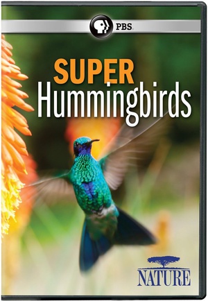 电视剧《超级蜂鸟  Super Hummingbirds》（2016美国）--高清4K/1080P迅雷BT资源下载