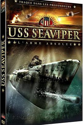 电影《美国战舰  USS Seaviper》（2012美国）--高清4K/1080P迅雷BT资源下载