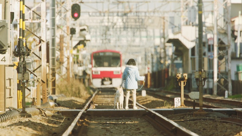 电影《请告诉我去车站的路  駅までの道をおしえて》（2019日本）--高清4K/1080P迅雷BT资源下载