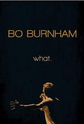 电影《博·伯翰：什么。  Bo Burnham: What》（2013美国）--高清4K/1080P迅雷BT资源下载