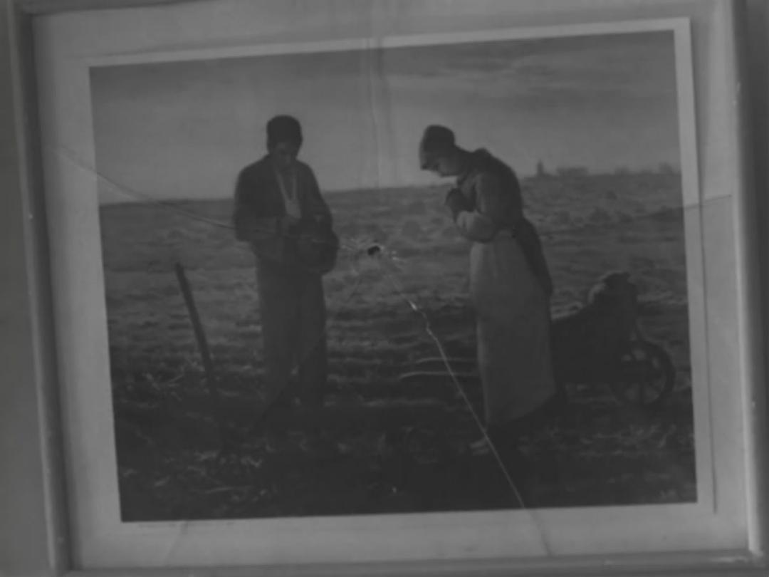 电影《风前的灯火  風前の灯》（1957日本）--高清4K/1080P迅雷BT资源下载