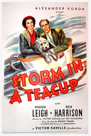 电影《茶杯里的风暴  Storm in a Teacup》（1937英国）--高清4K/1080P迅雷BT资源下载