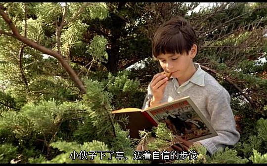 电影《我的美国舅舅  Mon oncle d'Amérique》（1980法国）--高清4K/1080P迅雷BT资源下载