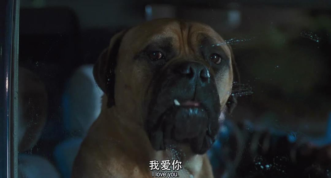 电影《怪医杜立德 Doctor Dolittle》(1998美国)--高清4K/1080P迅雷BT资源下载 电影《怪医杜立德 Doctor Dolittle》(1998美国)--高清4K/1080P迅雷BT资源下载