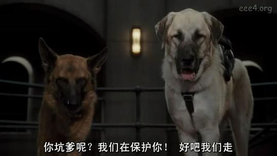 电影《猫狗大战2：珍珠猫复仇  Cats &amp; Dogs: The Revenge of Kitty Galore》（2010美国 / 澳大利亚）--高清4K/1080P迅雷BT资源下载