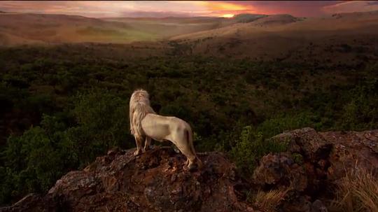 电影《白狮  White Lion》（2010南非）--高清4K/1080P迅雷BT资源下载