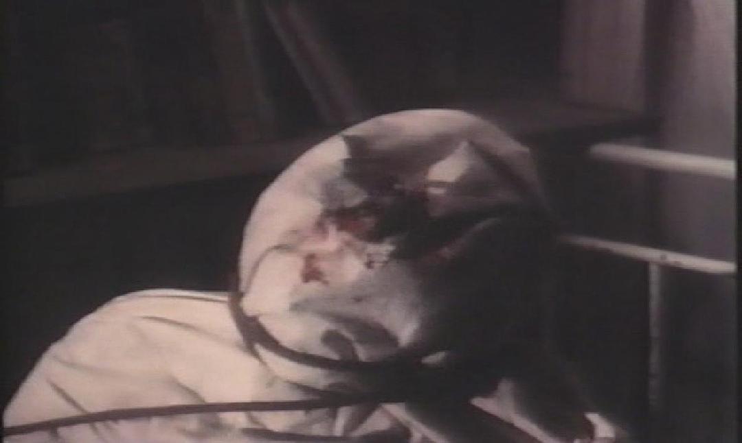 电影《丧尸之旅  Zombiethon》（1986美国）--高清4K/1080P迅雷BT资源下载