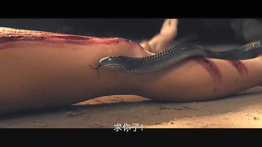 电影《驱魔古法  The Old Ways》（2020美国）--高清4K/1080P迅雷BT资源下载