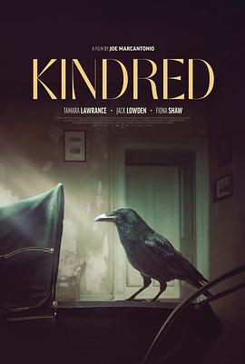 电影《亲属关系  Kindred》（2020英国）--高清4K/1080P迅雷BT资源下载