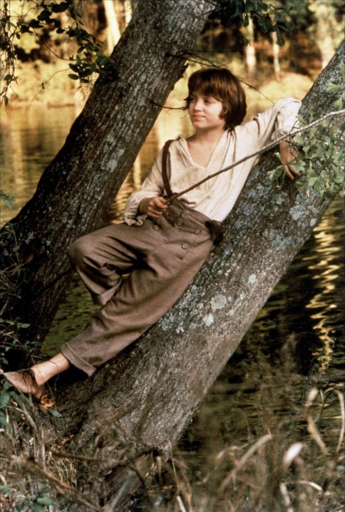 电影《小鬼闯天关  The Adventures of Huck Finn》（1993美国）--高清4K/1080P迅雷BT资源下载