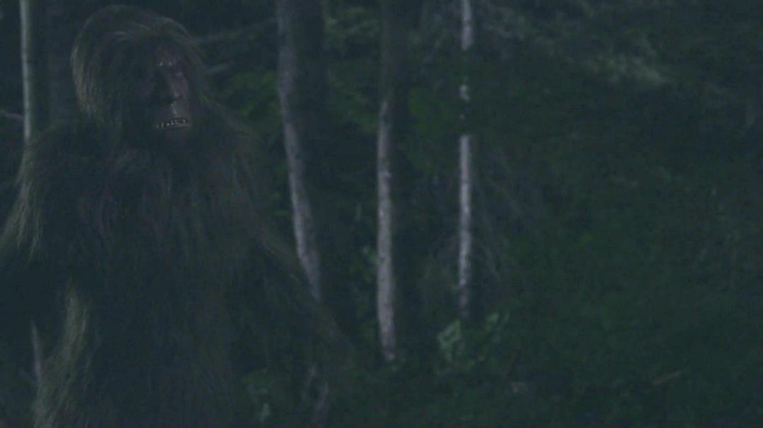 电影《大脚野人谷  Valley of the Sasquatch》（2015美国）--高清4K/1080P迅雷BT资源下载