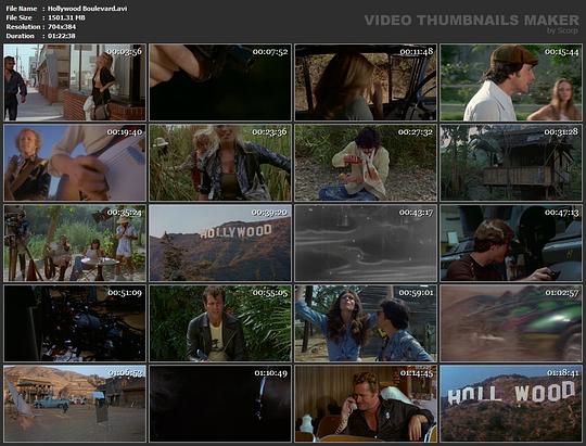 电影《好莱坞大道  Hollywood Boulevard》（1976美国）--高清4K/1080P迅雷BT资源下载