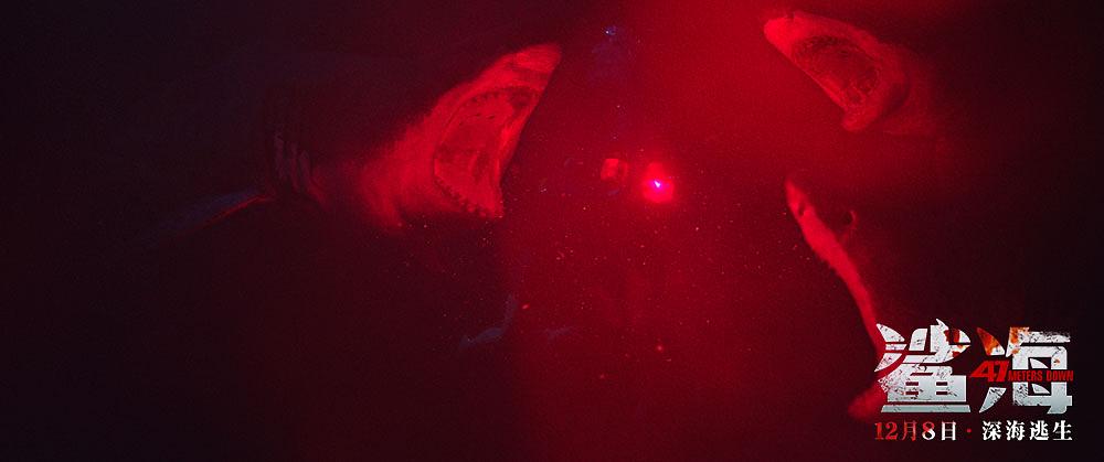 电影《鲨海  47 Meters Down》（2016英国）--高清4K/1080P迅雷BT资源下载