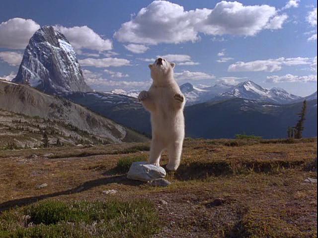 电影《雪地迷踪  Alaska》（1996美国）--高清4K/1080P迅雷BT资源下载