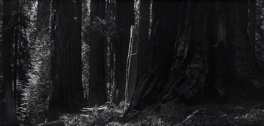 电影《大追踪  The Big Trail》（1930美国）--高清4K/1080P迅雷BT资源下载