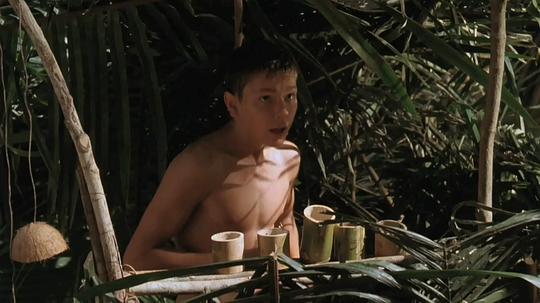 电影《蚊子海岸  The Mosquito Coast》（1986美国）--高清4K/1080P迅雷BT资源下载