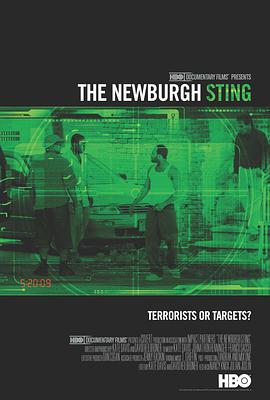 电影《The Newburgh Sting》（2014美国）--高清4K/1080P迅雷BT资源下载
