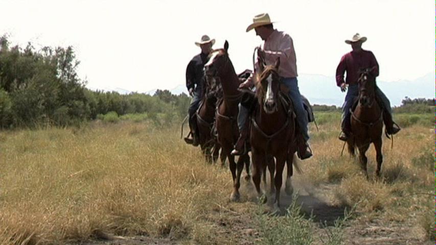 纪录片《决战拉梅萨  Gunfight at La Mesa》（2010美国）--高清4K/1080P迅雷BT资源下载
