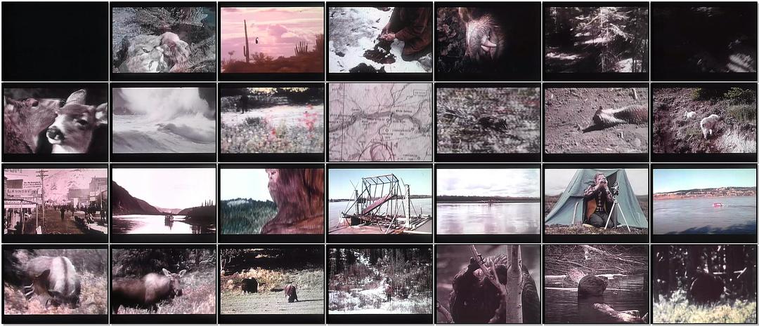 纪录片《The Legend of Bigfoot》（1976美国）--高清4K/1080P迅雷BT资源下载