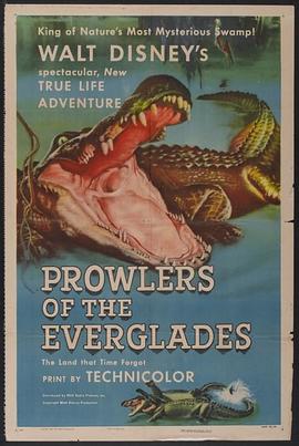纪录片《沼泽巡弋者  Prowlers of the Everglades》（1953美国）--高清4K/1080P迅雷BT资源下载