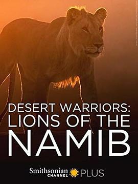 纪录片《沙漠战士：纳米布的狮子们  Desert Warriors: Lions of the Namib》（2016美国）--高清4K/1080P迅雷BT资源下载