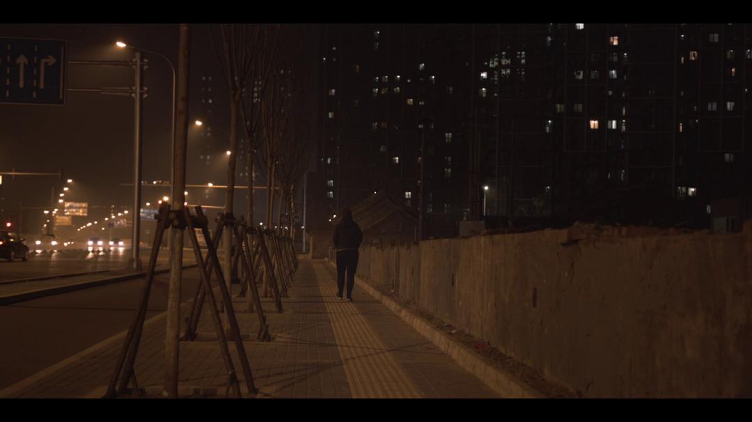 纪录片《独行》（2018中国大陆）--高清4K/1080P迅雷BT资源下载