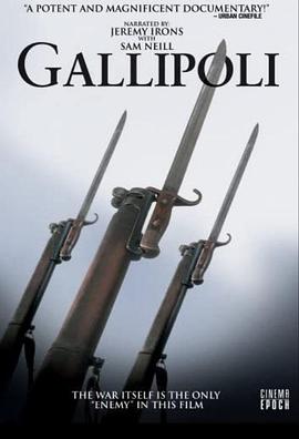 纪录片《加里波利  Gallipoli》（2005土耳其）--高清4K/1080P迅雷BT资源下载
