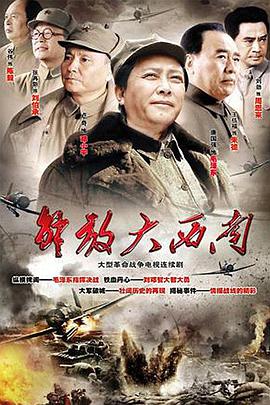 电视剧《解放大西南》（2010中国大陆）--高清4K/1080P迅雷BT资源下载