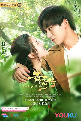 电视剧《青囊传》（2019中国大陆）--高清4K/1080P迅雷BT资源下载