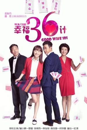 电视剧《幸福36计》（2014中国大陆）--高清4K/1080P迅雷BT资源下载