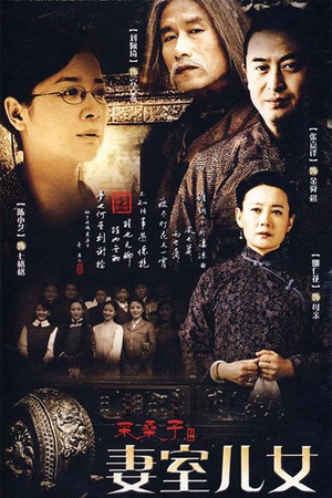 电视剧《妻室儿女》（2009中国大陆）--高清4K/1080P迅雷BT资源下载