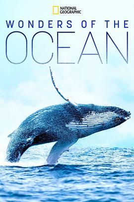 电视剧《海洋奇境  Wonders of the Ocean》（2019新西兰）--高清4K/1080P迅雷BT资源下载