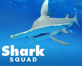 电视剧《Shark Squad Season 1  Shark Squad》（2018美国）--高清4K/1080P迅雷BT资源下载