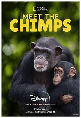 电视剧《和黑猩猩见面  Meet the Chimps》（2020美国）--高清4K/1080P迅雷BT资源下载