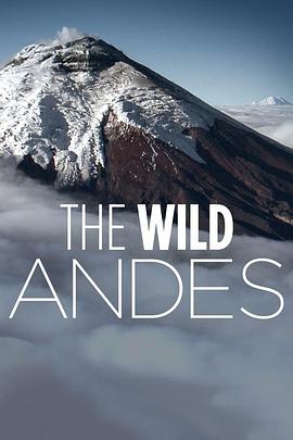 电视剧《安第斯山脉 第一季  The Wild Andes》（2018美国）--高清4K/1080P迅雷BT资源下载