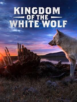 电视剧《雪狼王国  Kingdom of the White Wolf》（2019美国/加拿大）--高清4K/1080P迅雷BT资源下载