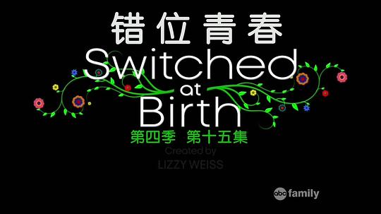 电视剧《错位青春 第四季  Switched At Birth》（2015美国）--高清4K/1080P迅雷BT资源下载