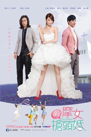 电视剧《俏摩女抢头婚》（2014中国台湾）--高清4K/1080P迅雷BT资源下载